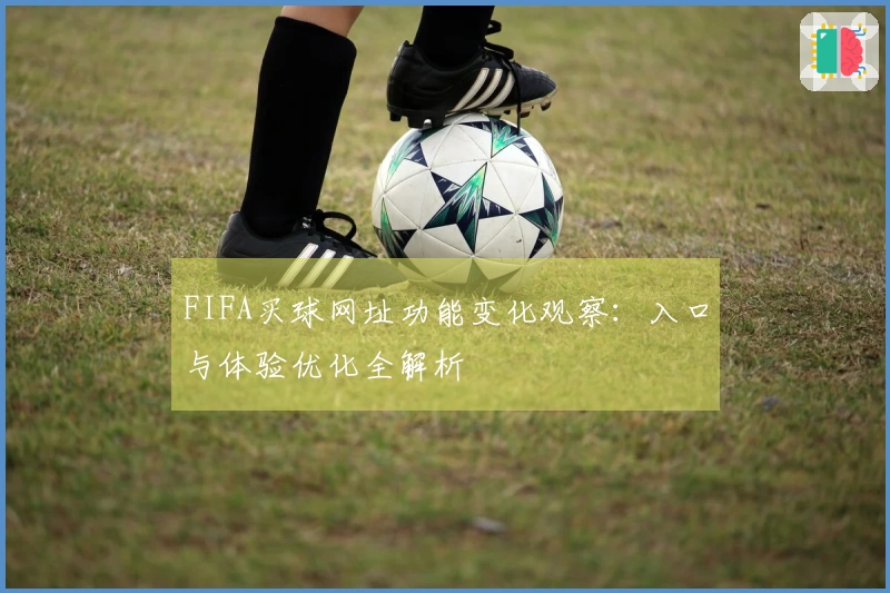 FIFA买球网址功能变化观察：入口与体验优化全解析