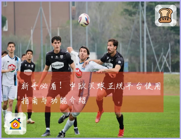 新手必看！中欧买球正规平台使用指南与功能介绍