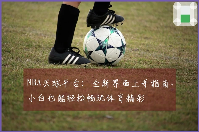 NBA买球平台：全新界面上手指南，小白也能轻松畅玩体育精彩