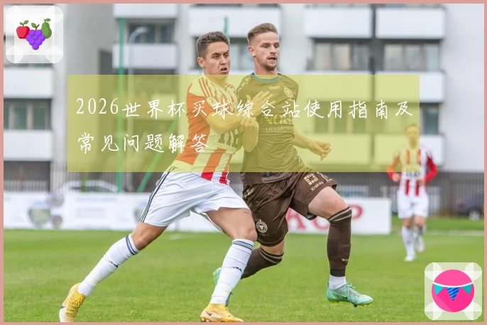 2026世界杯买球综合站使用指南及常见问题解答